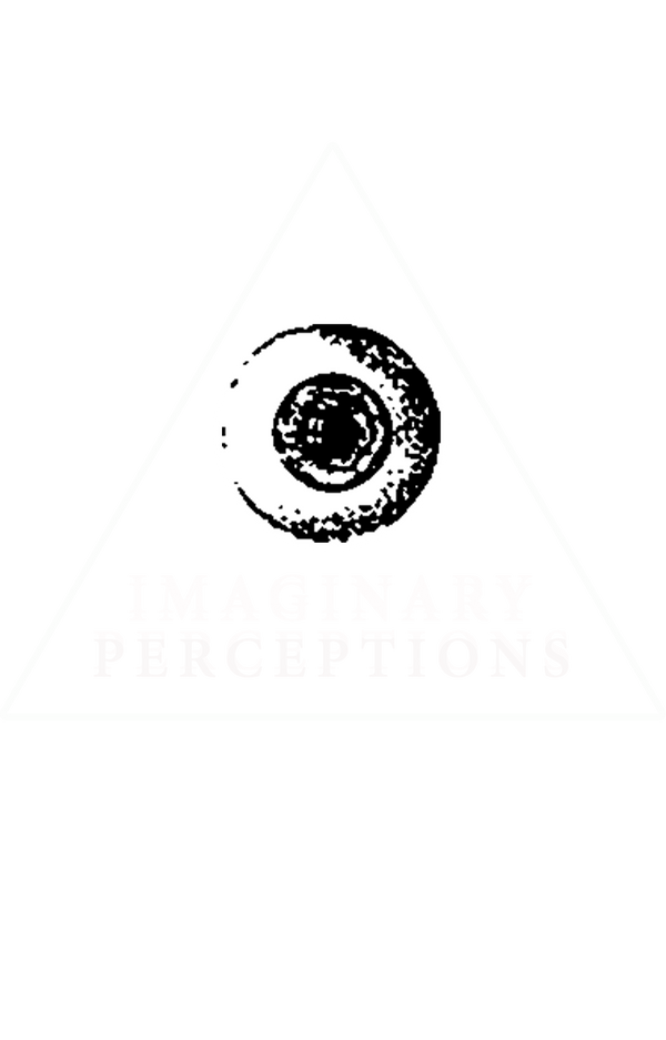 Imaginary Perceptions